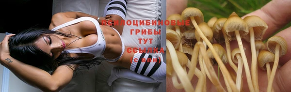 гидра Беломорск