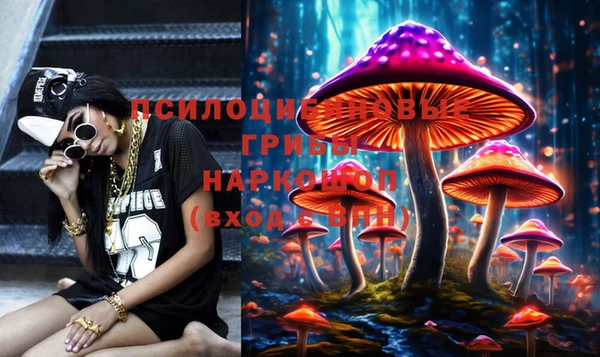 дживик Баксан
