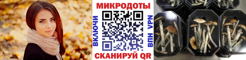 Псилоцибиновые грибы GOLDEN TEACHER даркнет сайт Кувандык